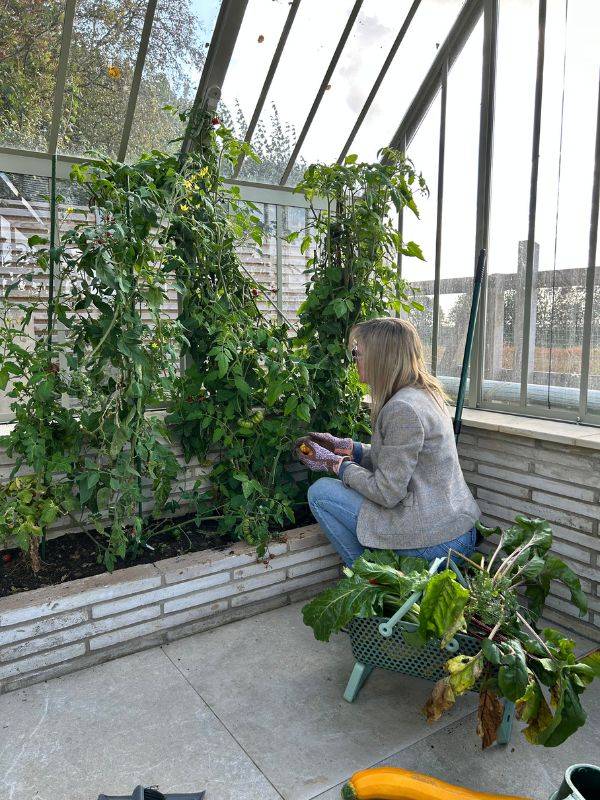 Stephanies Kitchen Garden Oct 2025 3